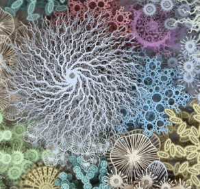 激光雕刻纸卡 带你体验不一样的艺术之美